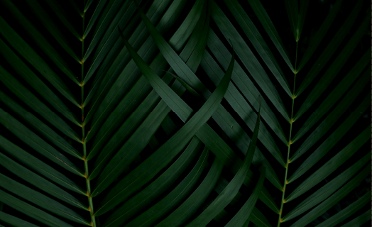 inner_01_02 https://rioresidencialclube.ruanbroker.com/wp-content/uploads/2020/03/inner_01_02.png